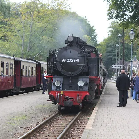 Bright Retreat In Apartment *