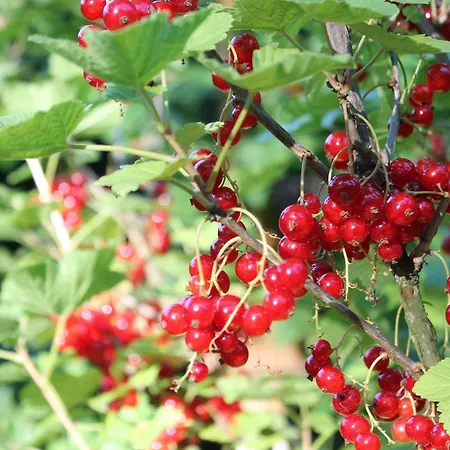 Bright Retreat In Apartment