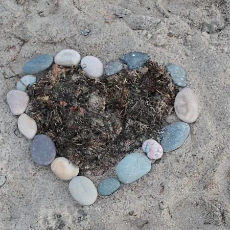 Bright Retreat In Apartment